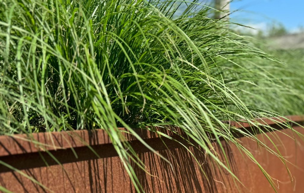Cortenstaal West-Vlaanderen | Cortenstaal maatwerk | Cortenstaal in de tuin | Cortenstaal Ruddervoorde